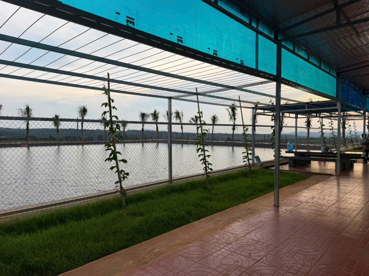 Irrigation reservoir