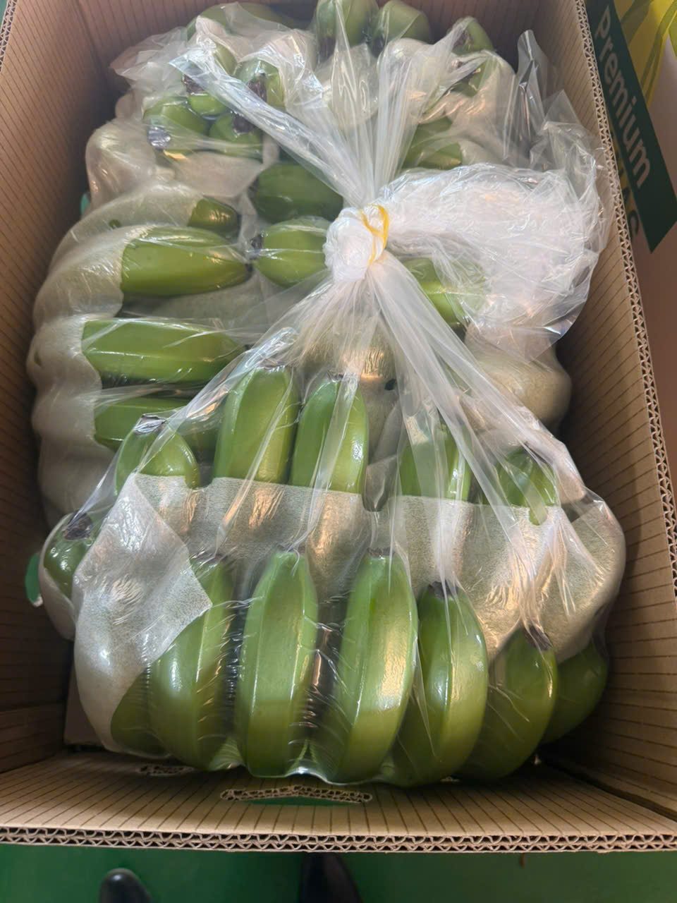 Packed export carton