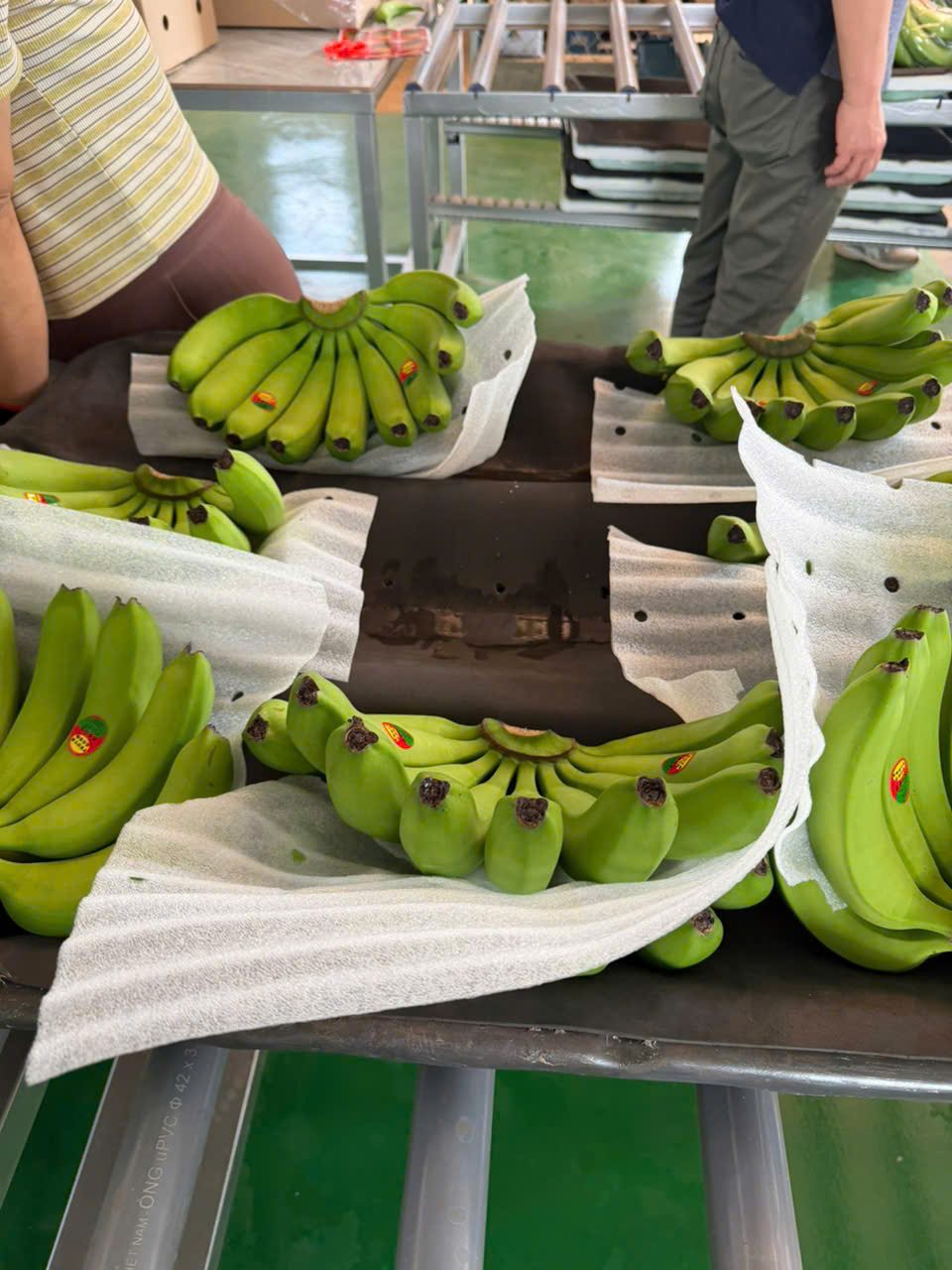 Hands on packing table