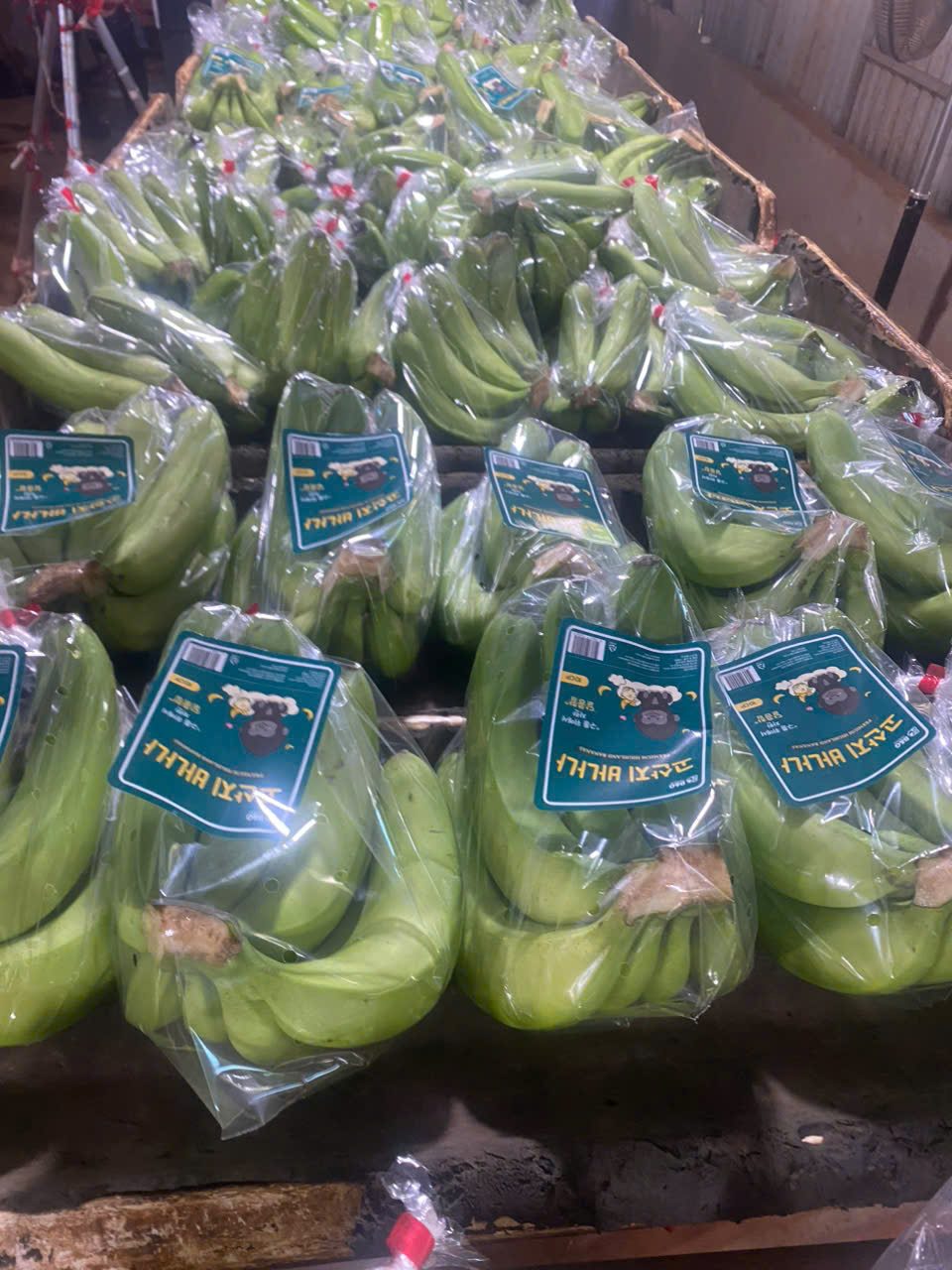 Clusters with Korean retail labels